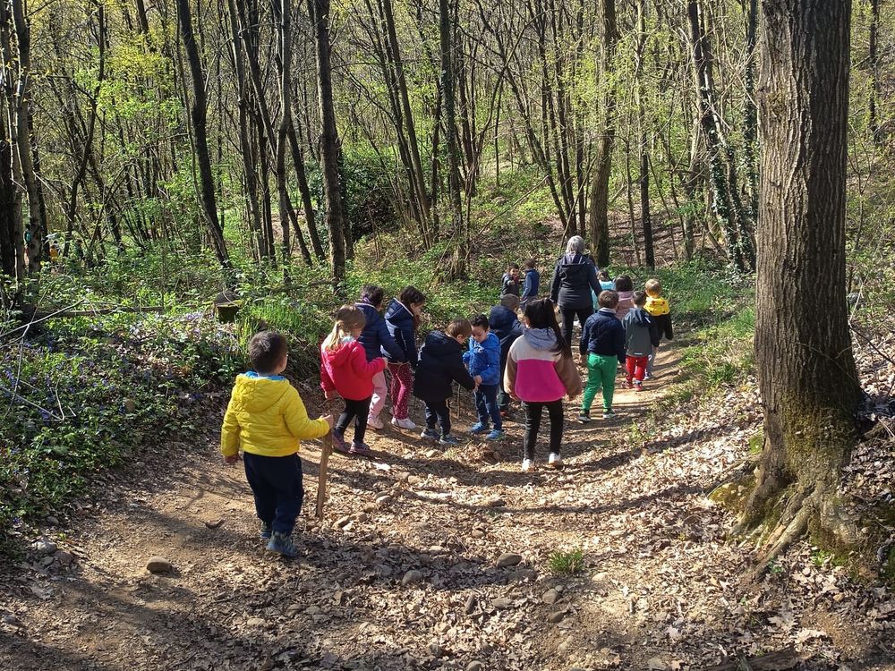 Bambini in fila lungo un sentiero nel bosco durante un'uscita