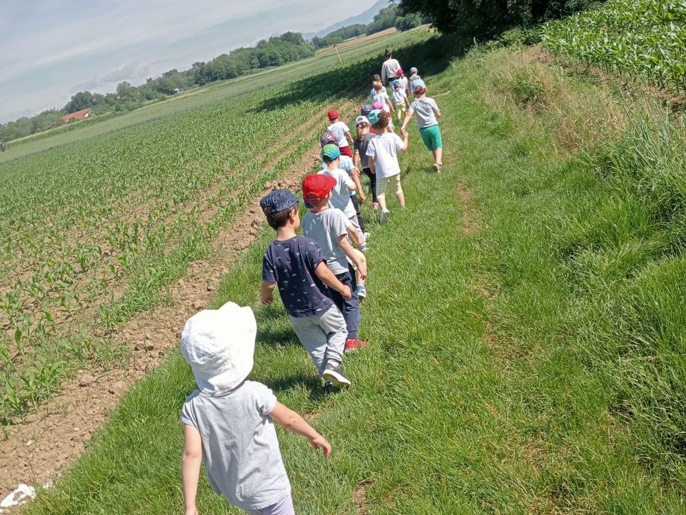 Bambini che corrono lungo il viale Bagatti, in fila sul sentiero d'erba