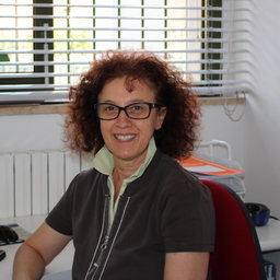 Ornella, amministrazione